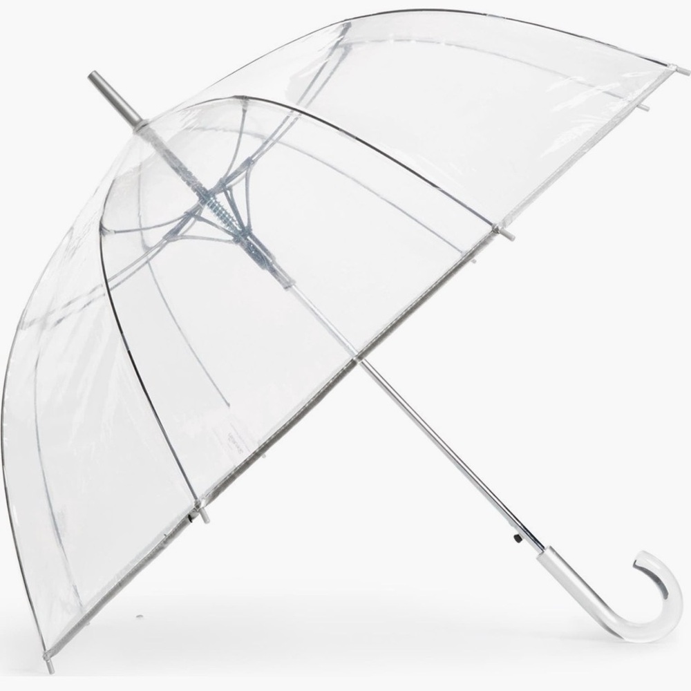 Clear Umbrella with Silver Handle